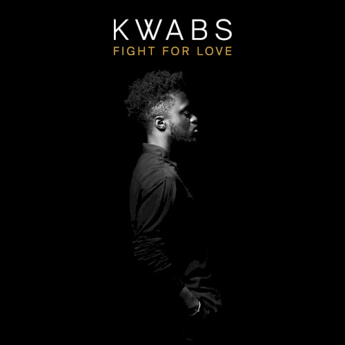 Fight for Love