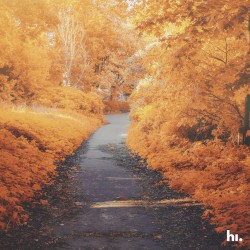 Autumn Day