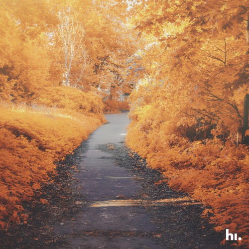 Autumn Day