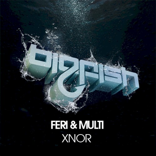 XNOR