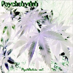 Psychobydub : Psychadelic Way
