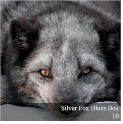 Silver Fox Blues Box 10