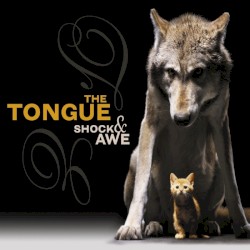 Shock & Awe