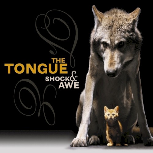 Shock & Awe