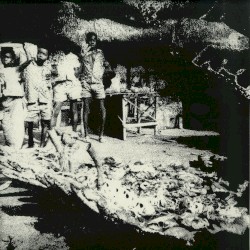 Tribal War