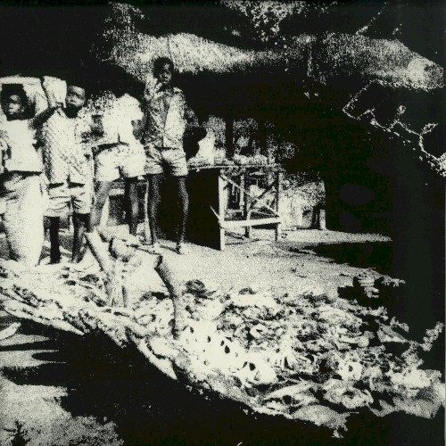 Tribal War