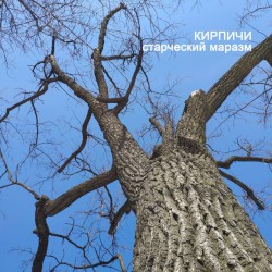 Старческий маразм