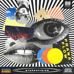 Stereovision