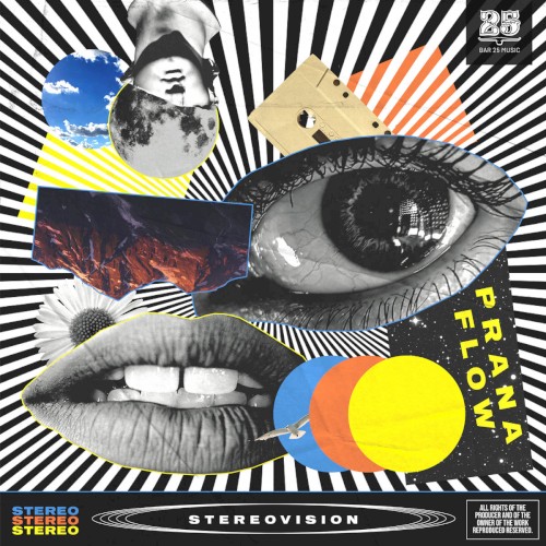 Stereovision