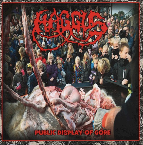 Public Display of Gore / Four Under the Floor