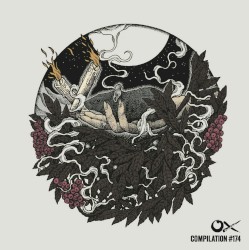 Ox Compilation #174