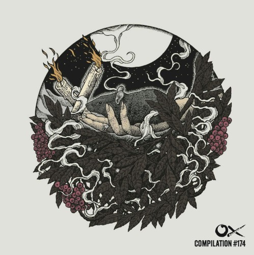 Ox Compilation #174