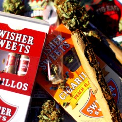 Blunt Raps