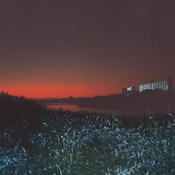 夜だけが知っている