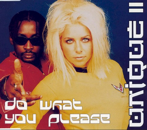 Do What You Please