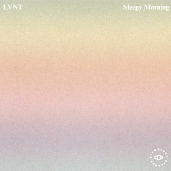 Sleepy Morning
