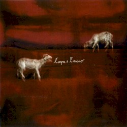 L'arpa e l'asino