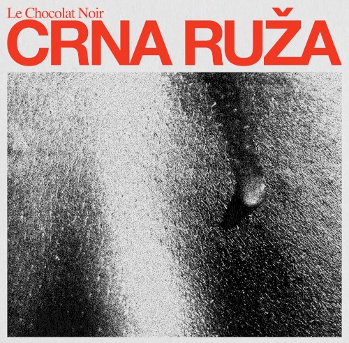 Crna Ruža