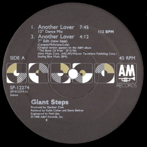 Another Lover