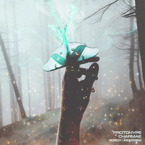 Remedy / Awakening