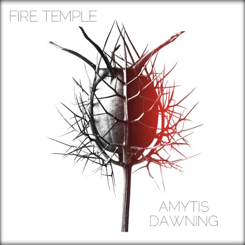 Amytis Dawning
