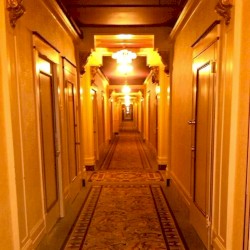 Hotel Blues