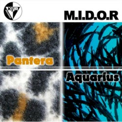 Aquarius / Pantera
