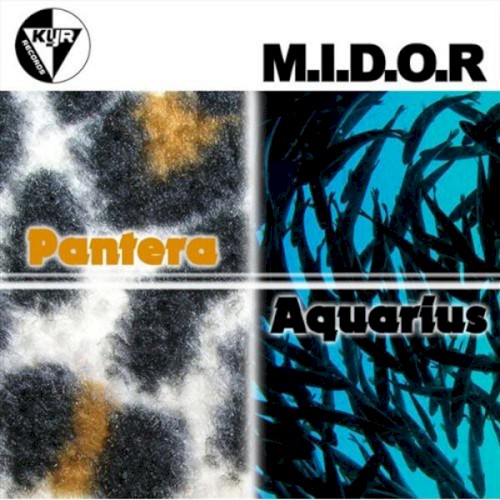 Aquarius / Pantera