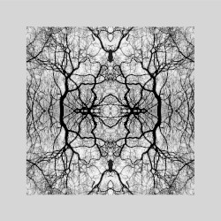 5-Adrift