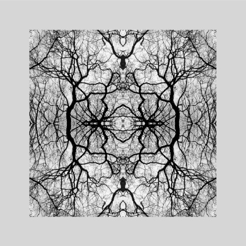 5-Adrift