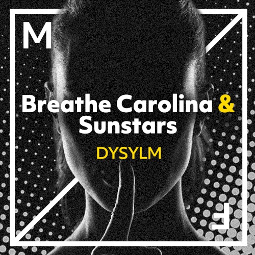 DYSYLM