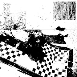PURA STASI 004