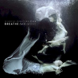 Breathe:See:Move