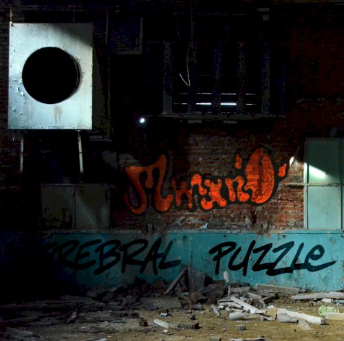 Cerebral Puzzle