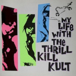 My Life With The Thrill Kill Kult