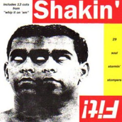 Shakin' Fit!