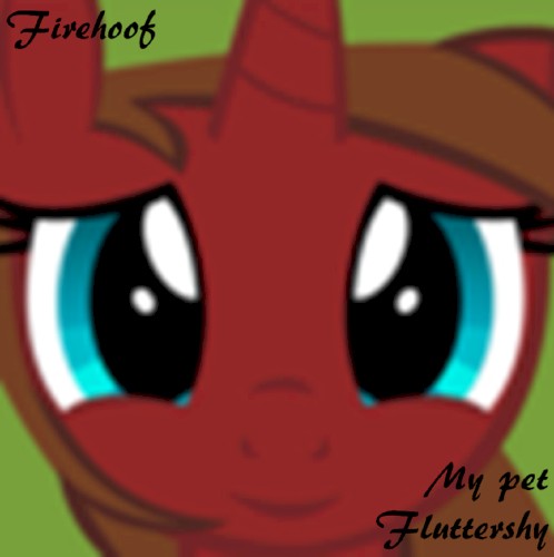 My pet Fluttershy