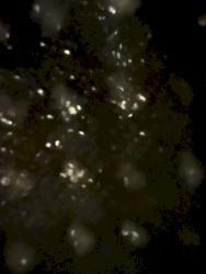 untitled050426
