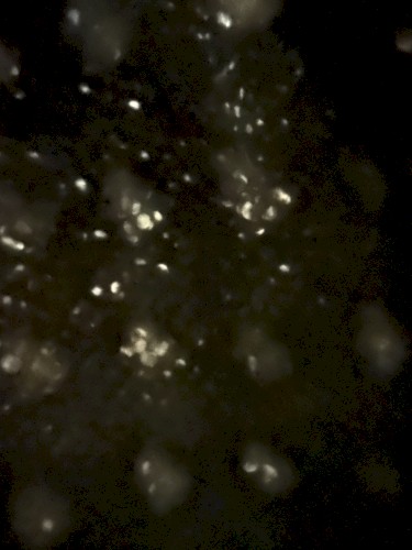 untitled050426
