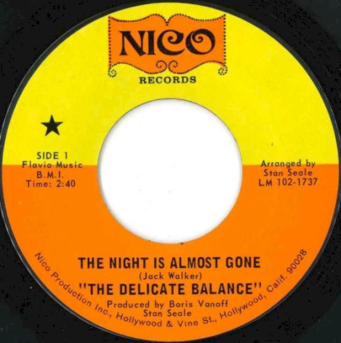 The Night Is Almost Gone