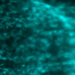 Hibernation II