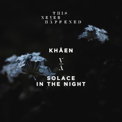 Solace In The Night