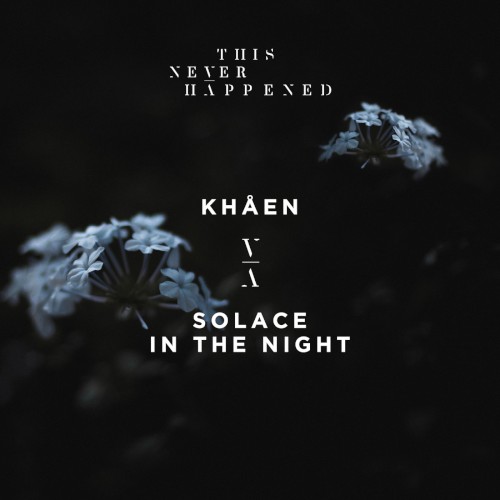 Solace In The Night