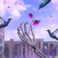 Hummingbird