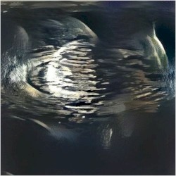 Rate Our Music #13: Fortuna Reducere