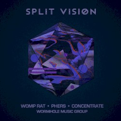Split Vision