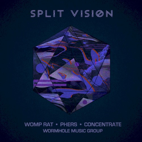 Split Vision