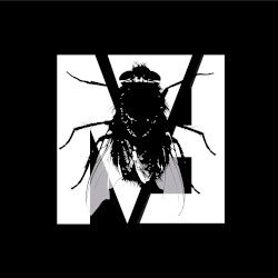 Fly on the Windscreen (Depeche Mode cover)