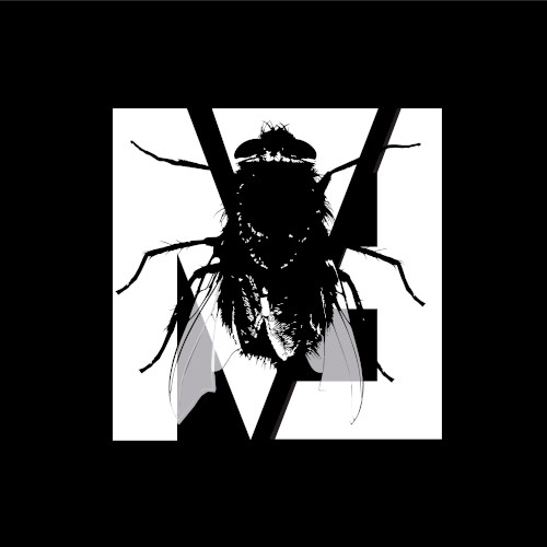 Fly on the Windscreen (Depeche Mode cover)