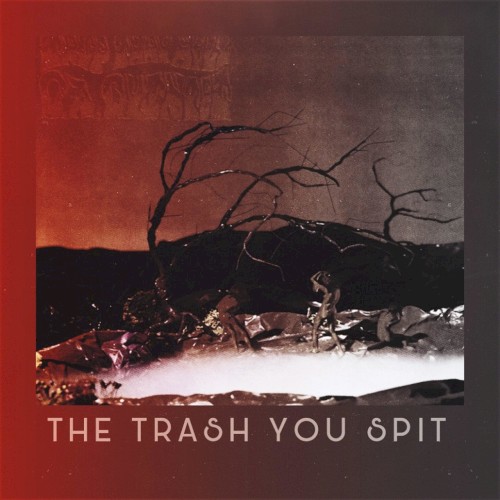 The Trash You Spit